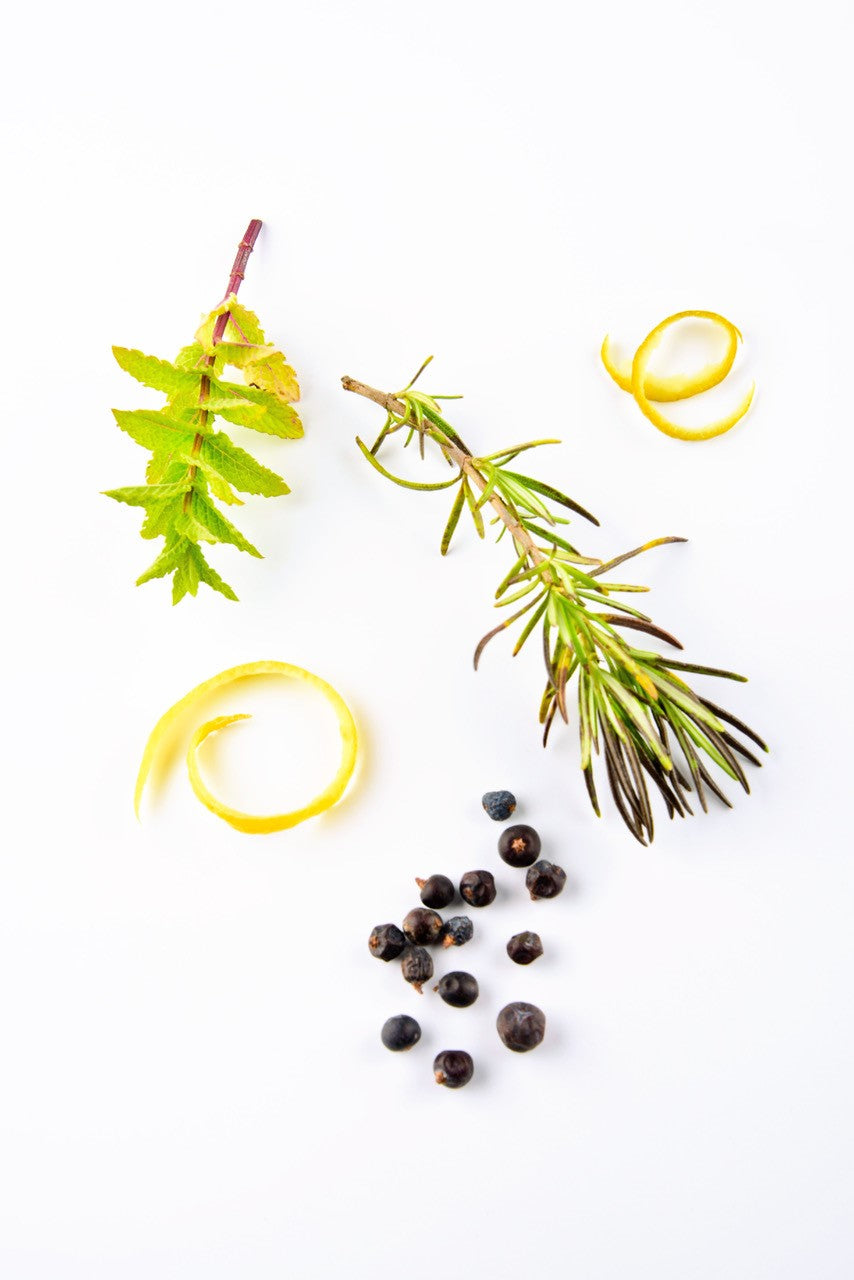 ideas of some garnishes suitable for adding to cinnamon grove premium Pembrokeshire gins